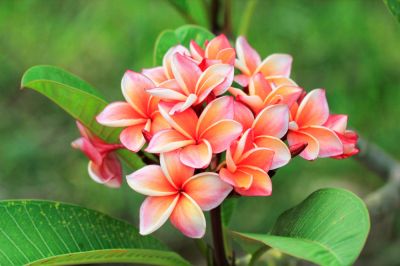 Beautify Your Outdoor Space!